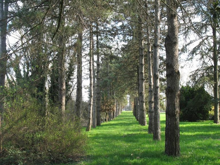 BONDENO Ospedale Borselli